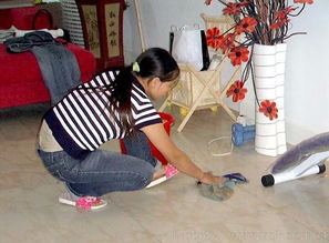 專業(yè)清潔服務，打造潔凈舒適的家居環(huán)境