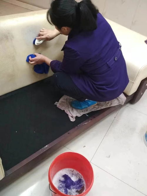 重慶專業清潔服務 日常保潔、開荒保潔與高層外墻清洗全方位指南